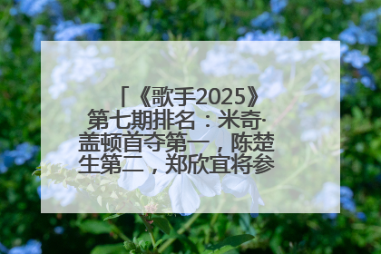 《歌手2025》第七期排名：米奇·盖顿首夺第一，陈楚生第二，郑欣宜将参加下一轮张榜赛